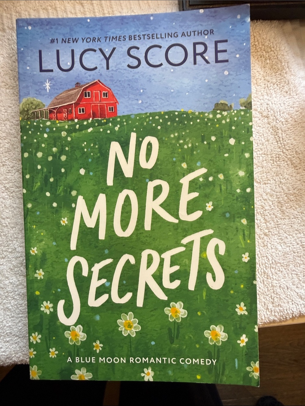 No More Secrets Book Cover Art - Green